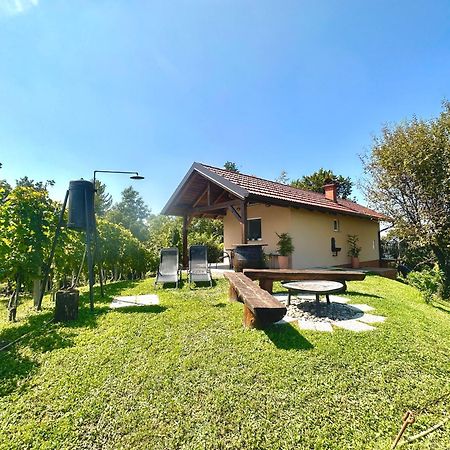 Holiday House Tomajna Podlehnik Экстерьер фото